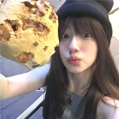 天网狼蛛